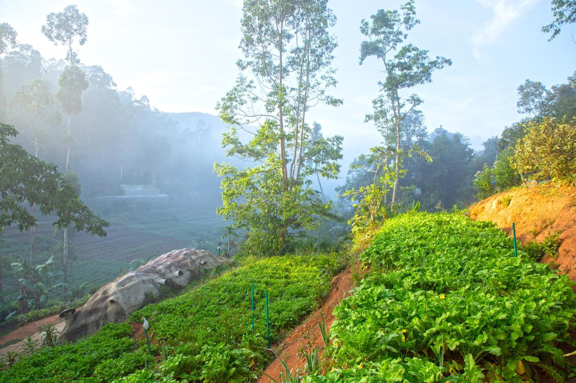 Top Mountain Resort Diyatalawa Exterior photo